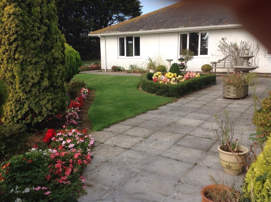 Bed and Breakfast Estuary View Farm Kingsbridge  Exterior foto