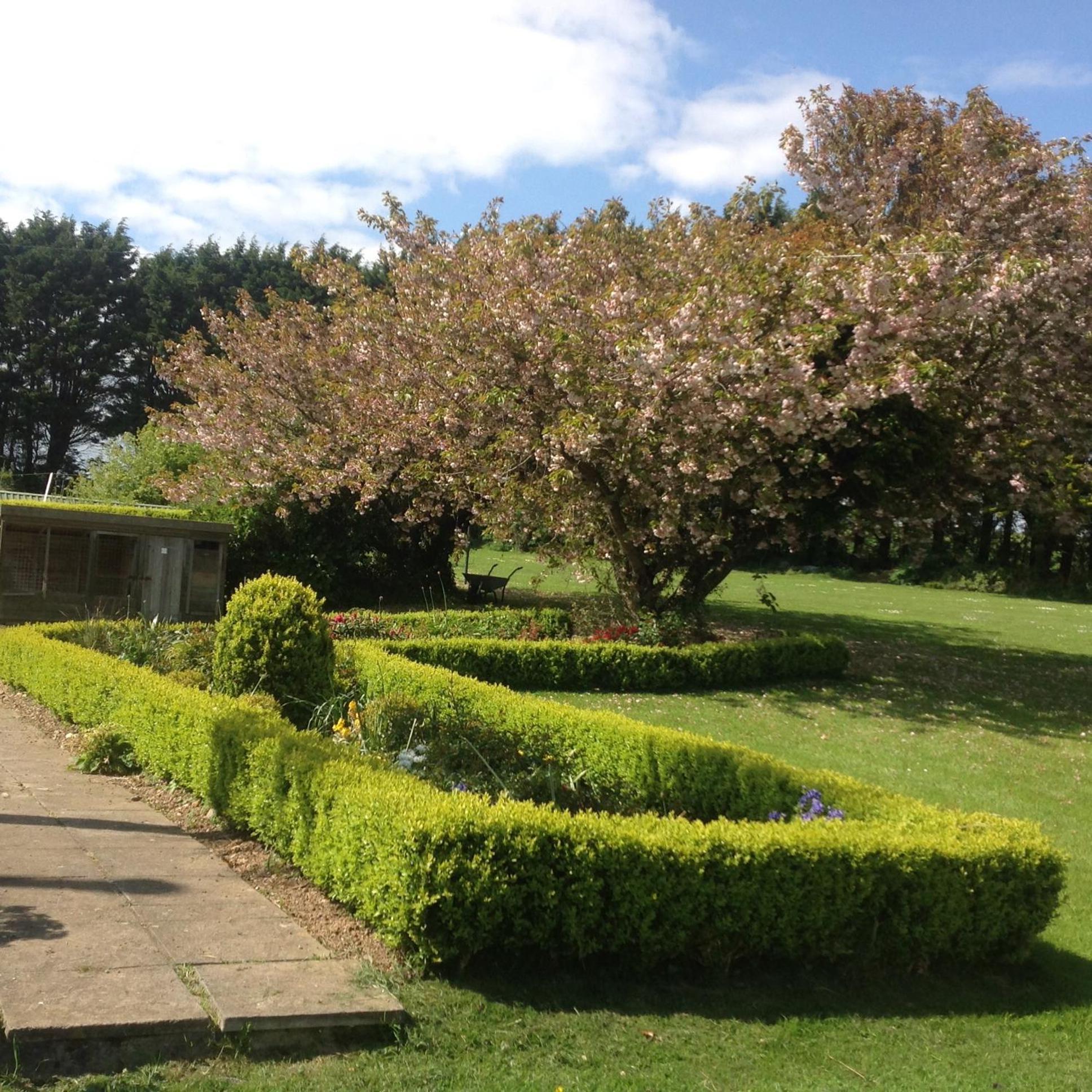 Bed and Breakfast Estuary View Farm Kingsbridge  Exterior foto