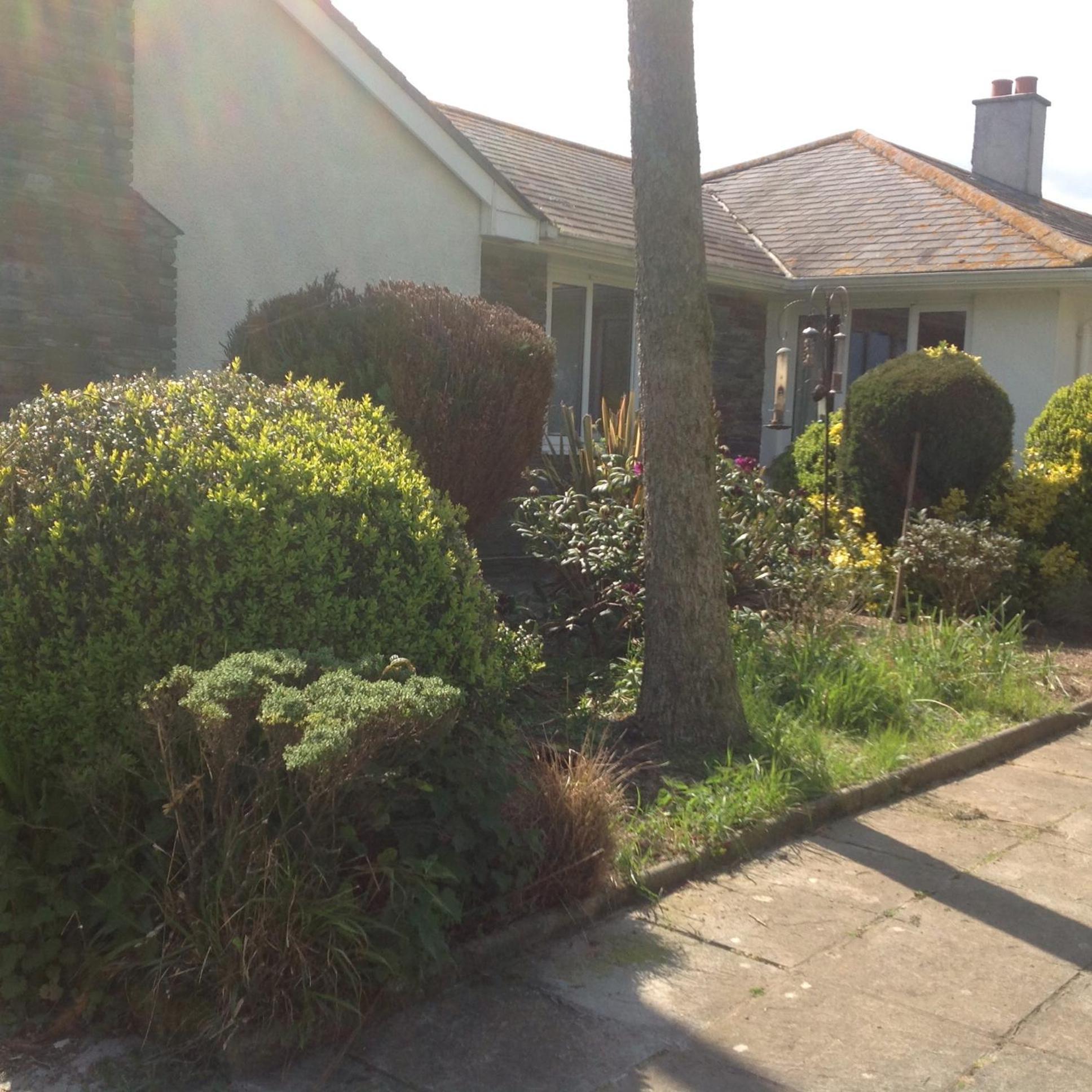 Bed and Breakfast Estuary View Farm Kingsbridge  Exterior foto