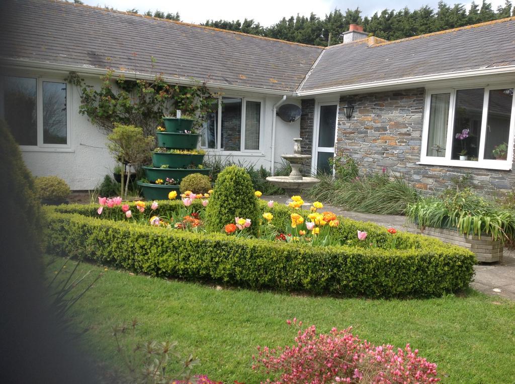 Bed and Breakfast Estuary View Farm Kingsbridge  Exterior foto